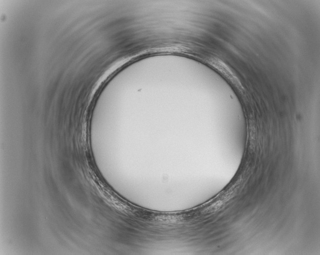 X0000060271044200511181414