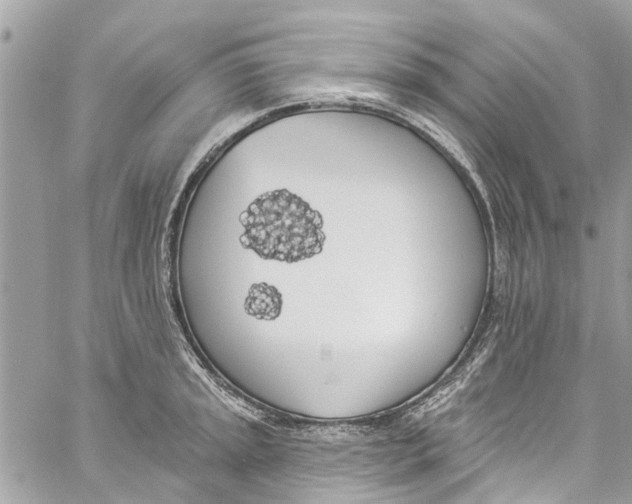 X0000060271045200511181414