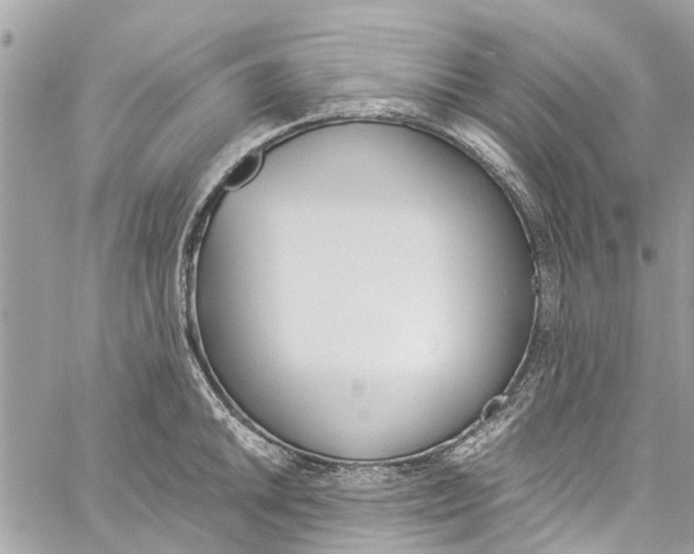 X0000060271046200511181414