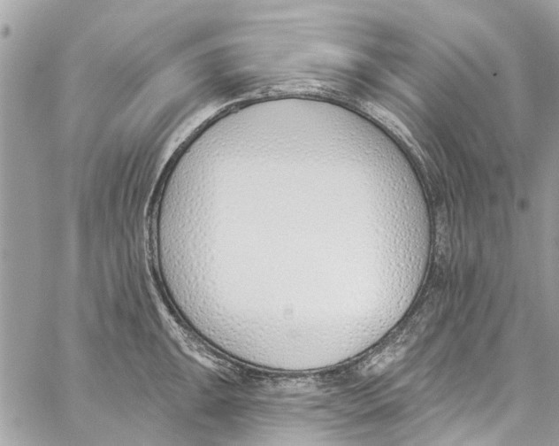 X0000060271047200511181414