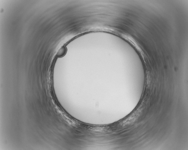 X0000060271048200511181414