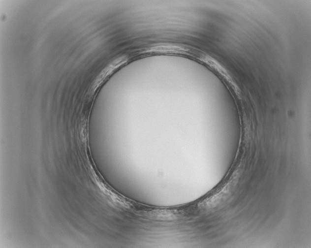 X0000060271049200511181414