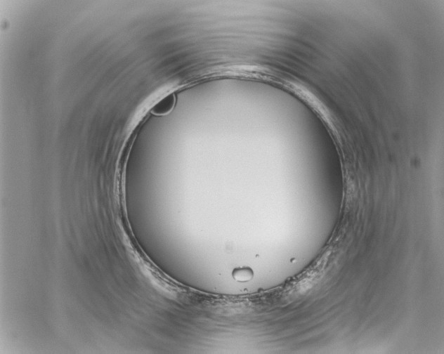 X0000060271050200511181414