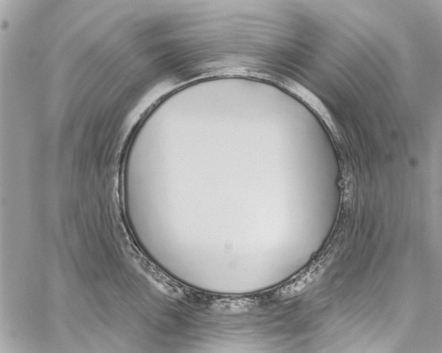 X0000060271051200511181414