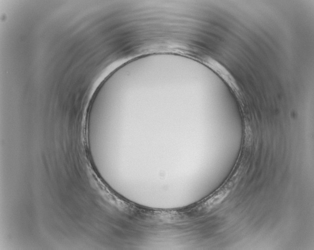 X0000060271052200511181414