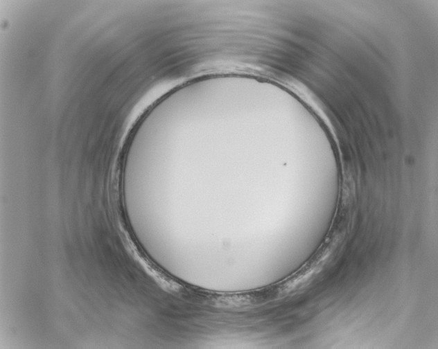 X0000060271053200511181414