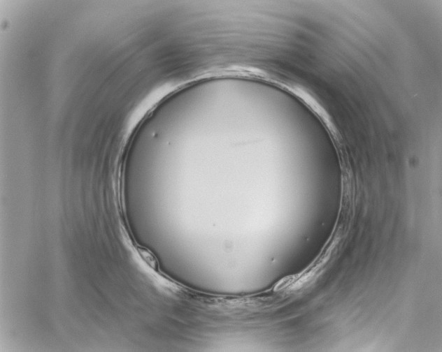 X0000060271054200511181414