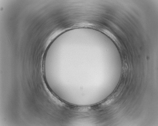 X0000060271055200511181414