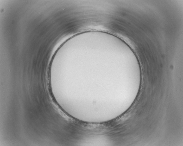 X0000060271056200511181415