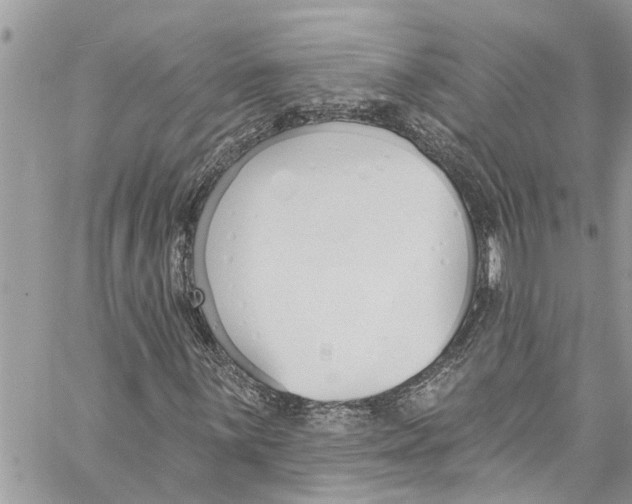 X0000060271059200511181414