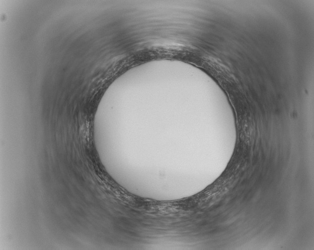 X0000060271061200511181414