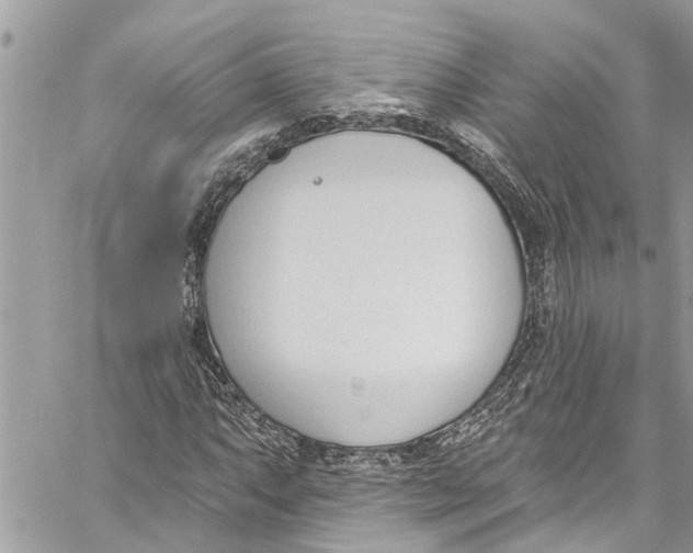 X0000060271063200511181414