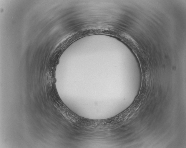 X0000060271064200511181414