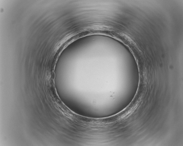 X0000060271065200511181414