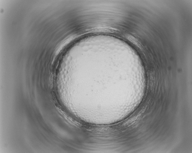 X0000060271067200511181414