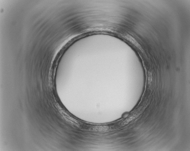 X0000060271068200511181414