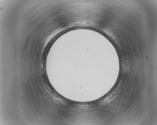 X0000060271070200511181413