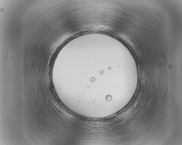 X0000060271071200511181413