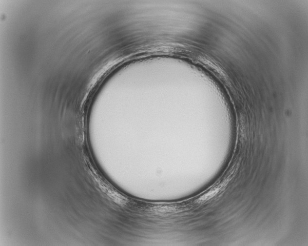 X0000060271075200511181413