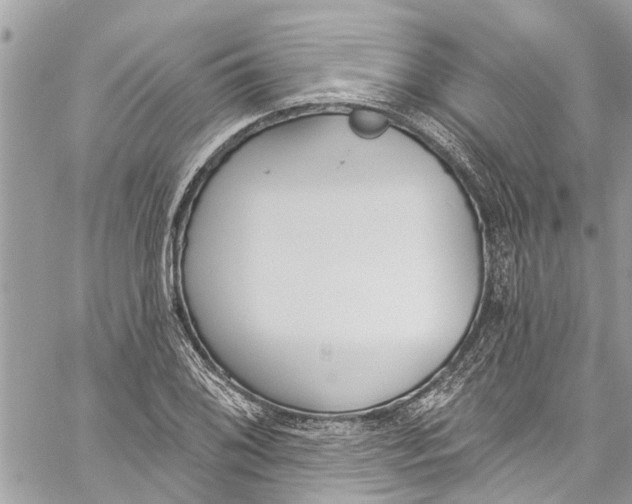 X0000060271076200511181413