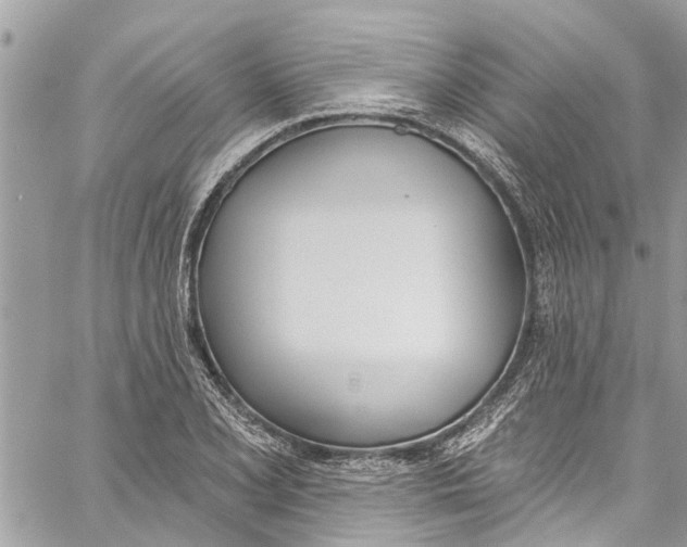 X0000060271077200511181413