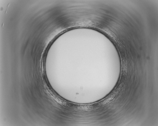 X0000060271078200511181413