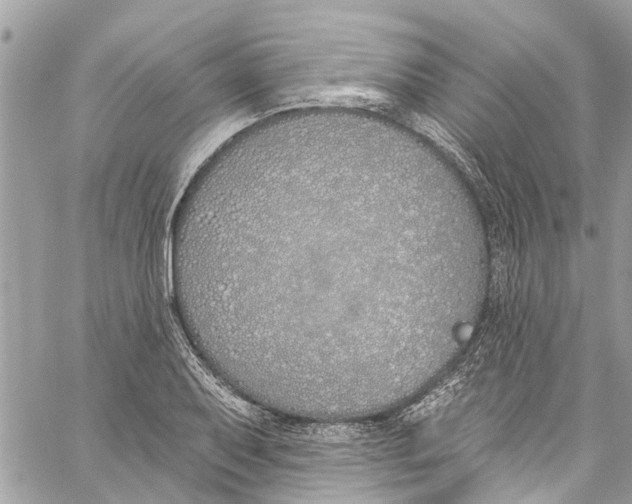 X0000060271079200511181413