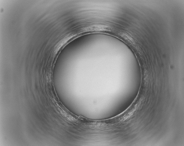 X0000060271081200511181413