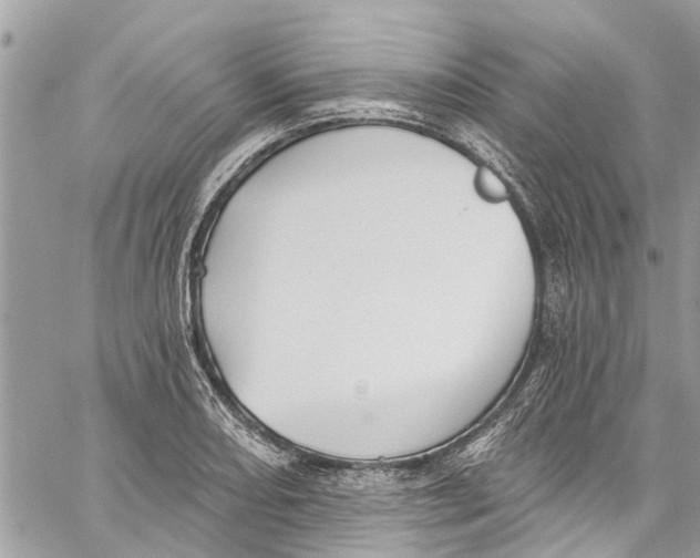 X0000060271082200511181413