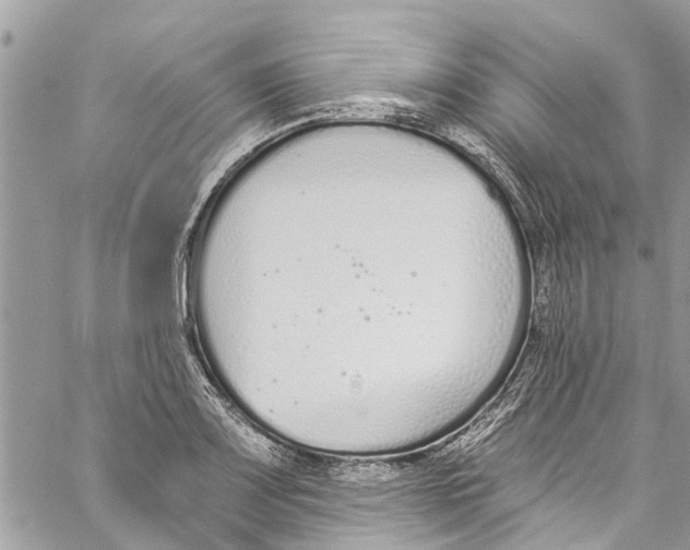 X0000060271083200511181413