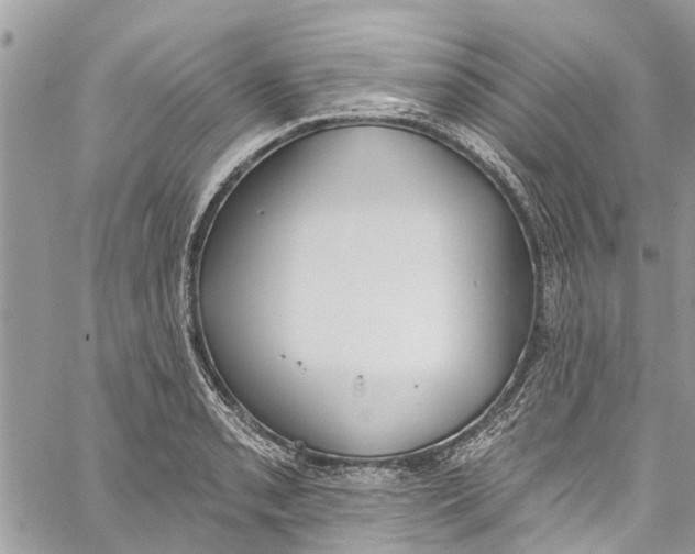 X0000060271085200511181413