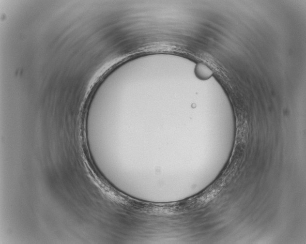 X0000060271086200511181413