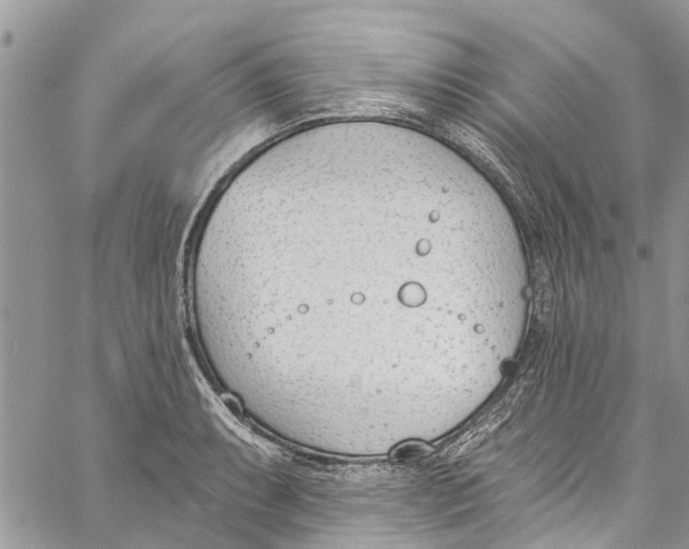 X0000060271087200511181413