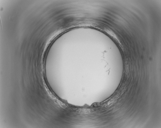 X0000060271088200511181413