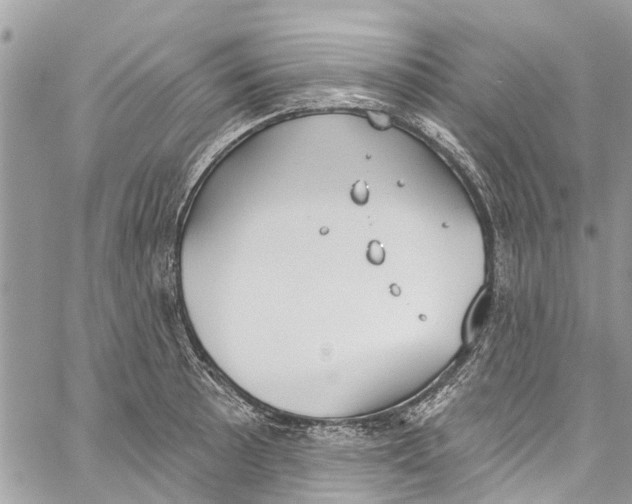 X0000060271089200511181413