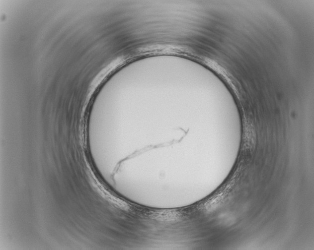 X0000060271090200511181413