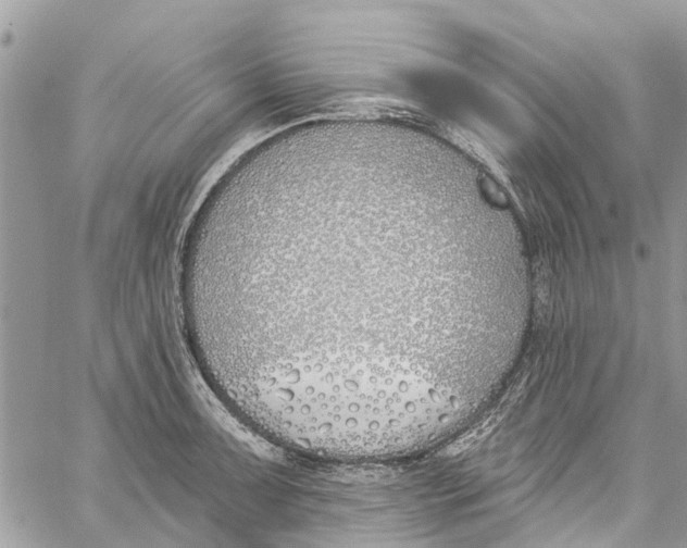 X0000060271091200511181413