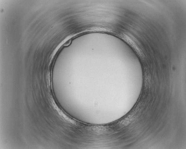 X0000060271092200511181413