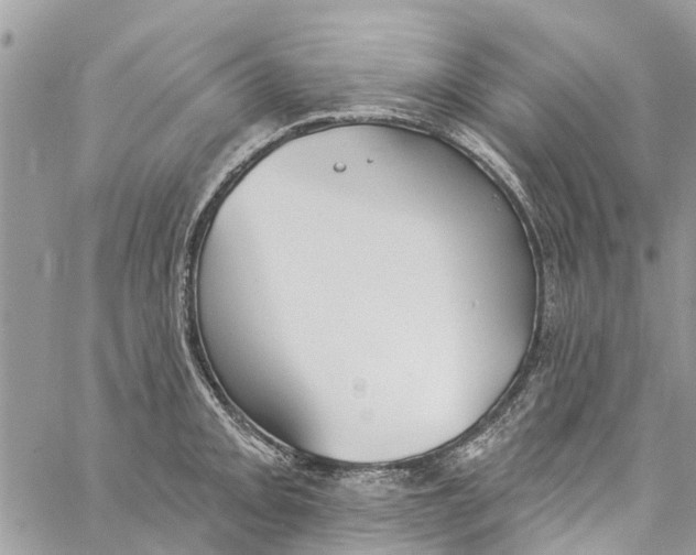 X0000060271093200511181413