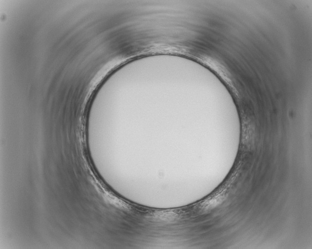 X0000060271094200511181413