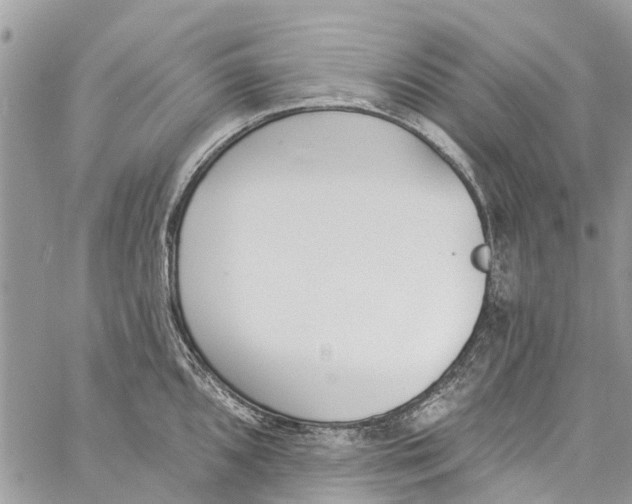 X0000060271096200511181413