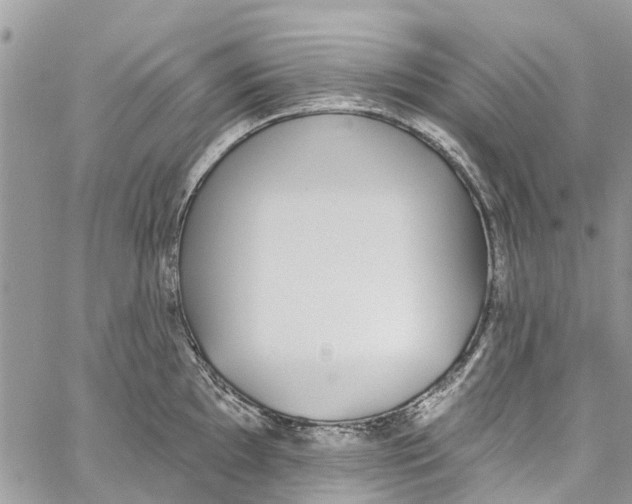 X0000060271097200511181413