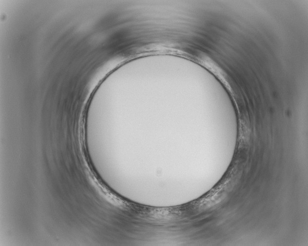 X0000060271098200511181413