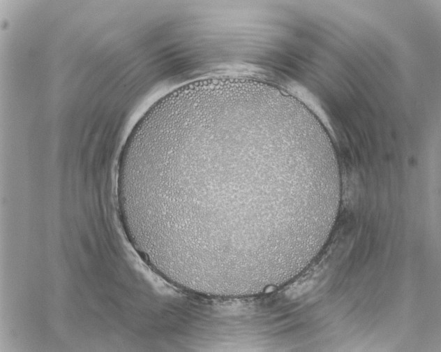 X0000060271099200511181413