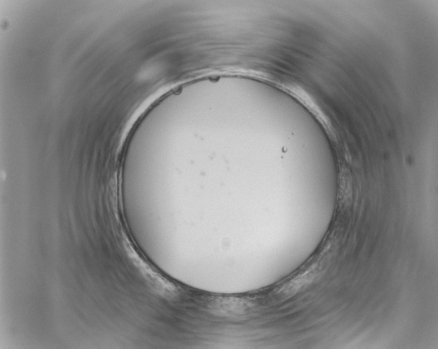 X0000060271100200511181413