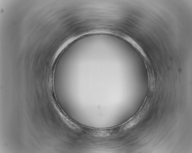 X0000060271101200511181413