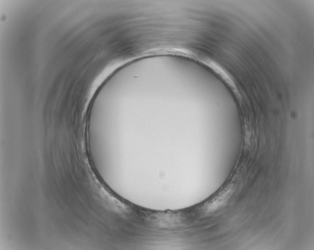 X0000060271102200511181413