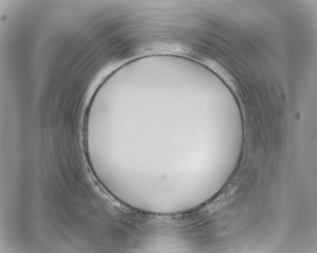 X0000060271104200511181413