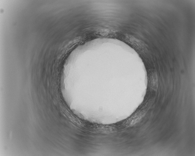 X0000060271105200511181412