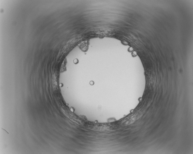 X0000060271106200511181412